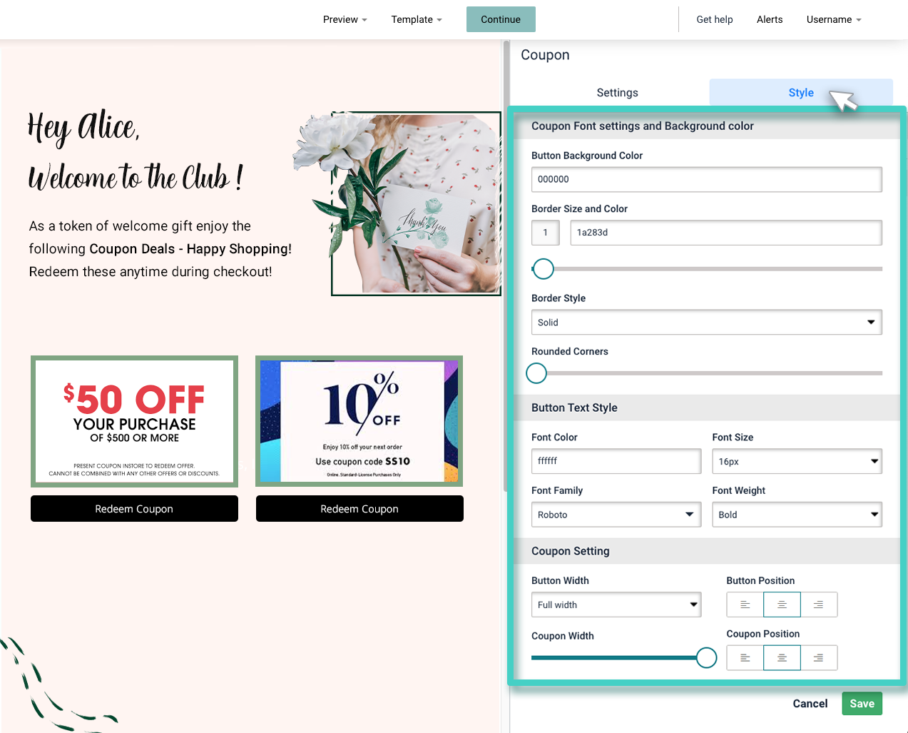 Landing page widget coupon styling