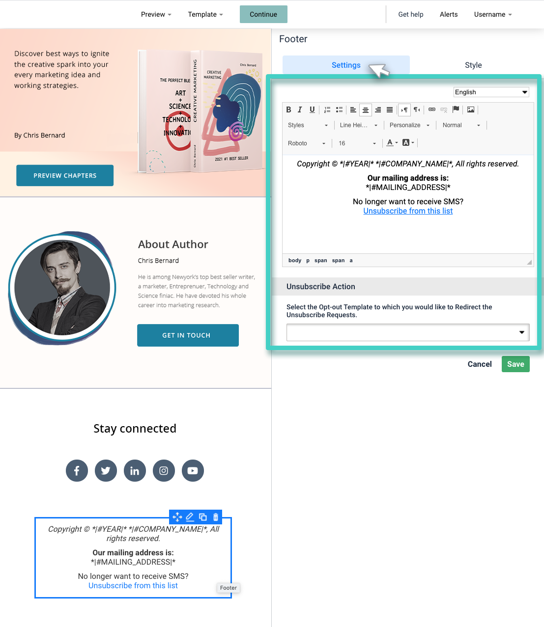 Footer widget settings for landing page footer