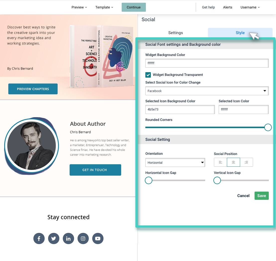 Landing page social media widget style settings