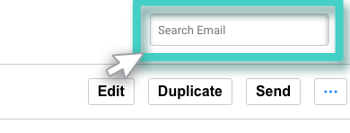 Email campaign manager, search email function