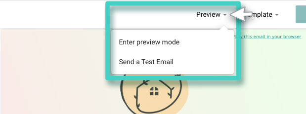 Email creator, preview options. Enter preview mode or send test email