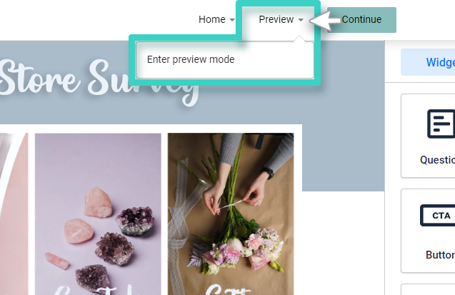 Survey preview New Survey, preview. Enter preview mode button is highlighted